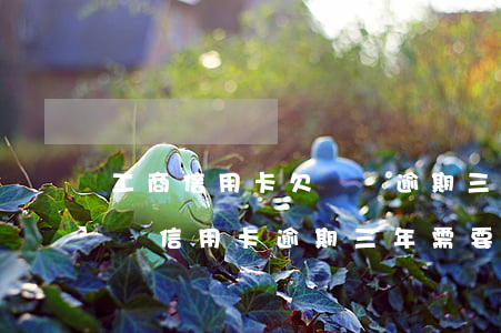 工商信用卡欠兩萬逾期三年了(欠工商銀行兩萬信用卡逾期三年需要還多少)