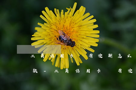 工商信用卡沒有逾期怎么協(xié)商還款-工商信用卡沒有逾期怎么協(xié)商還款呢