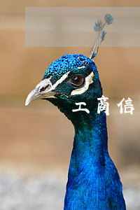 工商信用卡港幣逾期(工商銀行香港信用卡)