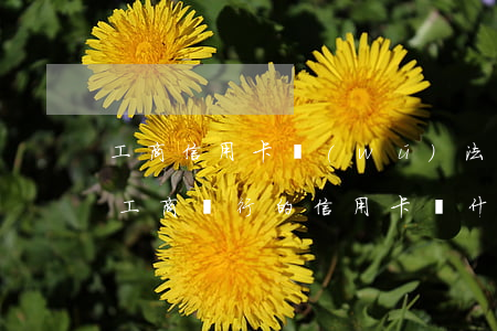 工商信用卡無(wú)法協(xié)商嗎(工商銀行的信用卡為什么被拒絕)