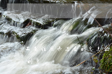 工商信用卡透支利息怎么還(工行信用卡透支利息)