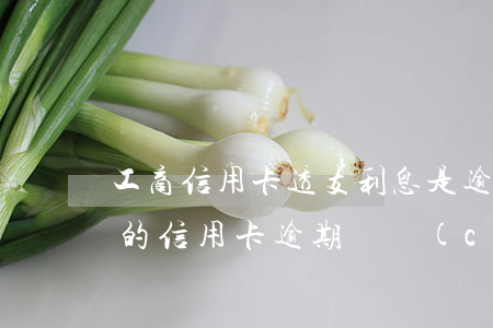 工商信用卡透支利息是逾期了嗎-工商銀行的信用卡逾期會產(chǎn)生什么后果