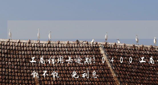 工商信用卡逾期10400(工商信用卡逾期能不能減免利息)
