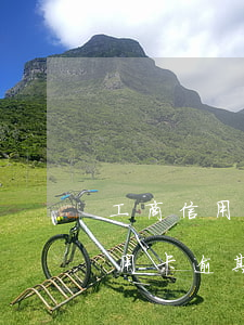工商信用卡逾期11萬怎么協商還-工商信用卡逾期11萬怎么協商還本金