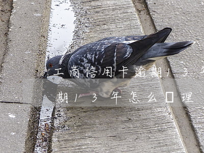 工商信用卡逾期13年怎么辦(工商信用卡逾期13年怎么辦理)