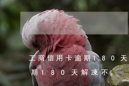 工商信用卡逾期180天解凍(工商信用卡逾期180天解凍不)