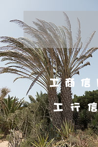 工商信用卡逾期2000收到失信通知-我工行信用卡逾期120天他們說要起訴我