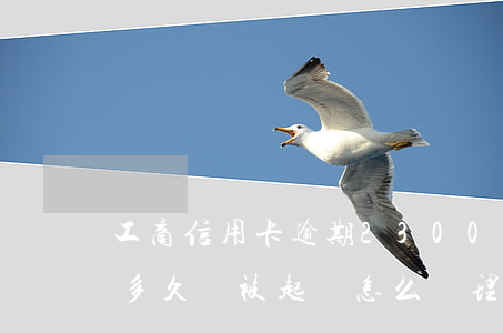工商信用卡逾期23000(工商信用卡逾期多久會被起訴怎么處理)