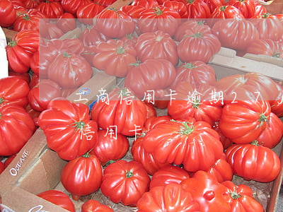 工商信用卡逾期27月结清(工行有逾期批了信用卡)