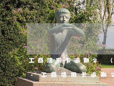 工商信用卡逾期2個(gè)月被暫停使用-工商信用卡逾期2個(gè)月被暫停使用怎么辦