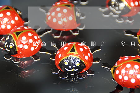 工商信用卡逾期2個多月