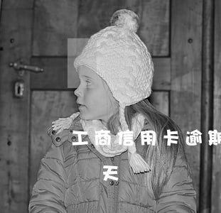 工商信用卡逾期2天后果(工商信用卡逾期了兩天)