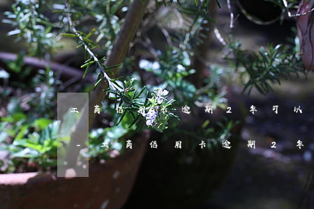 工商信用卡逾期2年可以協(xié)商嘛-工商信用卡逾期2年可以協(xié)商嘛