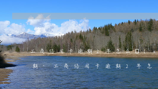 工商信用卡逾期2年怎么協(xié)商分期-工商信用卡逾期2年怎么協(xié)商分期還款
