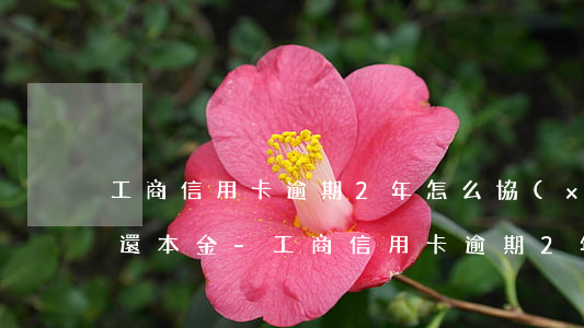 工商信用卡逾期2年怎么協(xié)商只還本金-工商信用卡逾期2年怎么協(xié)商只還本金的