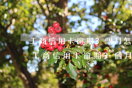 工商信用卡逾期3個月怎么協(xié)商(工商信用卡逾期3個月怎么協(xié)商還款)