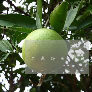 工商信用卡逾期3天違約金