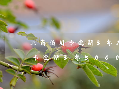 工商信用卡逾期3年大慨要還多少（工商信用卡逾期3年5000）