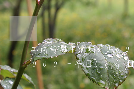 工商信用卡逾期4000(工商信用卡逾期4000一年關(guān)閉還款通道怎么解決)