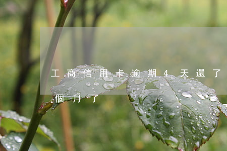 工商信用卡逾期4天還了(工行信用卡逾期4個月了)