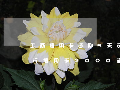 工商信用卡逾期5天可最低還款嗎-工商銀行信用卡2000逾期五年得還多少