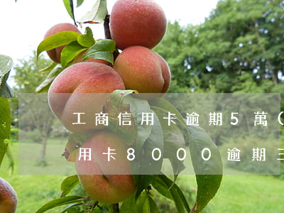 工商信用卡逾期5萬(wàn)案例(工商信用卡8000逾期三年)