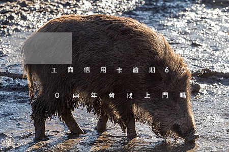 工商信用卡逾期60(工商信用卡逾期6000兩年會找上門嗎)
