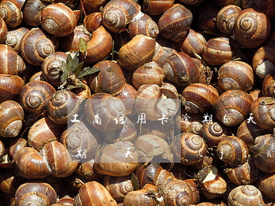 工商信用卡逾期6天還上(工商銀行信用卡逾期兩天還進(jìn)去有沒有關(guān)系)