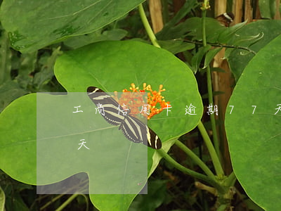 工商信用卡逾期77天(工商信用卡逾期77天)