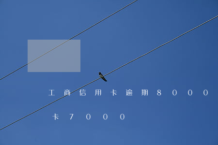 工商信用卡逾期8000多(工商銀行欠信用卡7000)