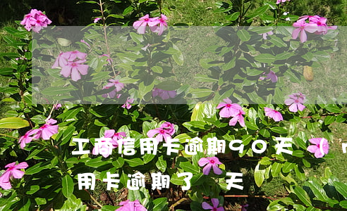 工商信用卡逾期90天內(nèi)(工商信用卡逾期了兩天)
