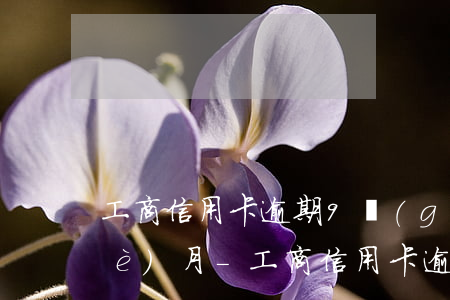 工商信用卡逾期9個(gè)月10個(gè)月-工商信用卡逾期9個(gè)月10個(gè)月怎么辦
