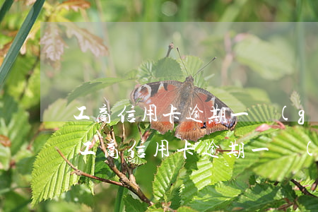 工商信用卡逾期一個(gè)月暫停使用-工商信用卡逾期一個(gè)月暫停使用會(huì)怎么樣