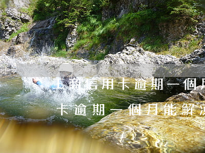 工商信用卡逾期一個月能解凍么-工商信用卡逾期一個月能解凍么嗎