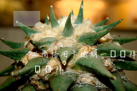 工商信用卡逾期一個禮拜 工商信用卡逾期一個禮拜