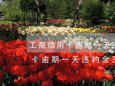 工商信用卡逾期一天违约金三百多（工商信用卡逾期一天违约金三百多）