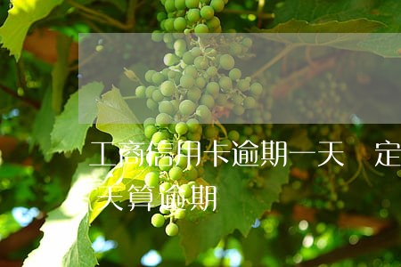工商信用卡逾期一天鎖定(工商信用卡逾期幾天算逾期)