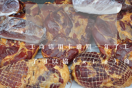 工商信用卡逾期一年了(工商信用卡逾期一年了,可以協(xié)商分期還嗎)