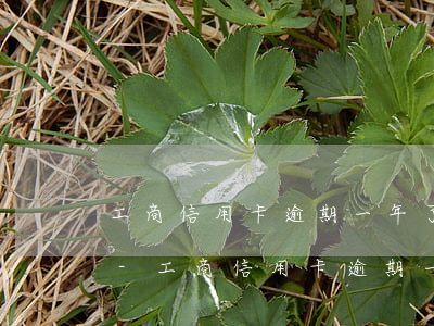 工商信用卡逾期一年了怎么協(xié)商-工商信用卡逾期一年了怎么協(xié)商還款