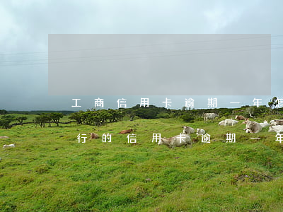 工商信用卡逾期一年怎么處理上海-工商銀行的信用卡逾期一年多了還能協(xié)商分期還款嗎
