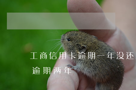 工商信用卡逾期一年没还(工商两万的信用卡逾期两年)