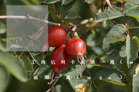 工商信用卡逾期一萬(wàn)(工商信用卡逾期一萬(wàn))