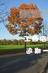 工商信用卡逾期一萬一個月七百(工商信用卡逾期一萬一個月七百五)