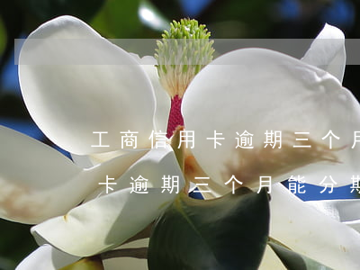 工商信用卡逾期三个月能分期吗-工商信用卡逾期三个月能分期吗