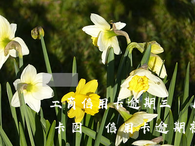 工商信用卡逾期三個月凍結(jié)(銀行卡因為信用卡逾期被凍結(jié)怎么辦)