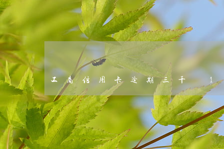 工商信用卡逾期三千塊(1000 五十六千米)