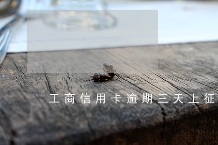 工商信用卡逾期三天上征信吗