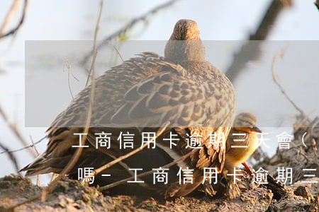 工商信用卡逾期三天會(huì)暫停使用嗎-工商信用卡逾期三天會(huì)暫停使用嗎知乎