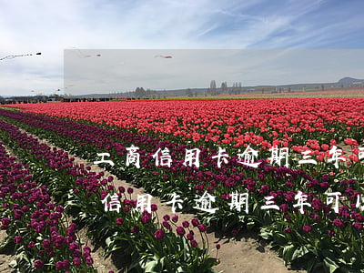 工商信用卡逾期三年可以只還本金嗎-工商信用卡逾期三年可以只還本金嗎