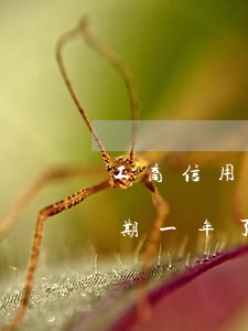 工商信用卡逾期三年征信(工商銀行信用卡逾期一年了基本上征信了嗎)